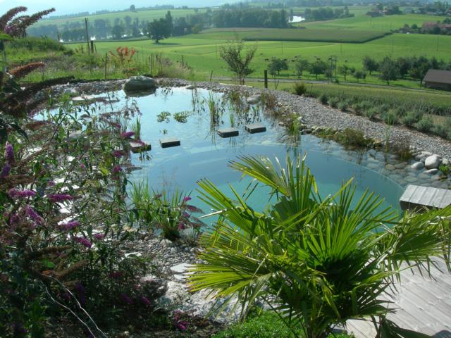 Romantischer Schwimmteich